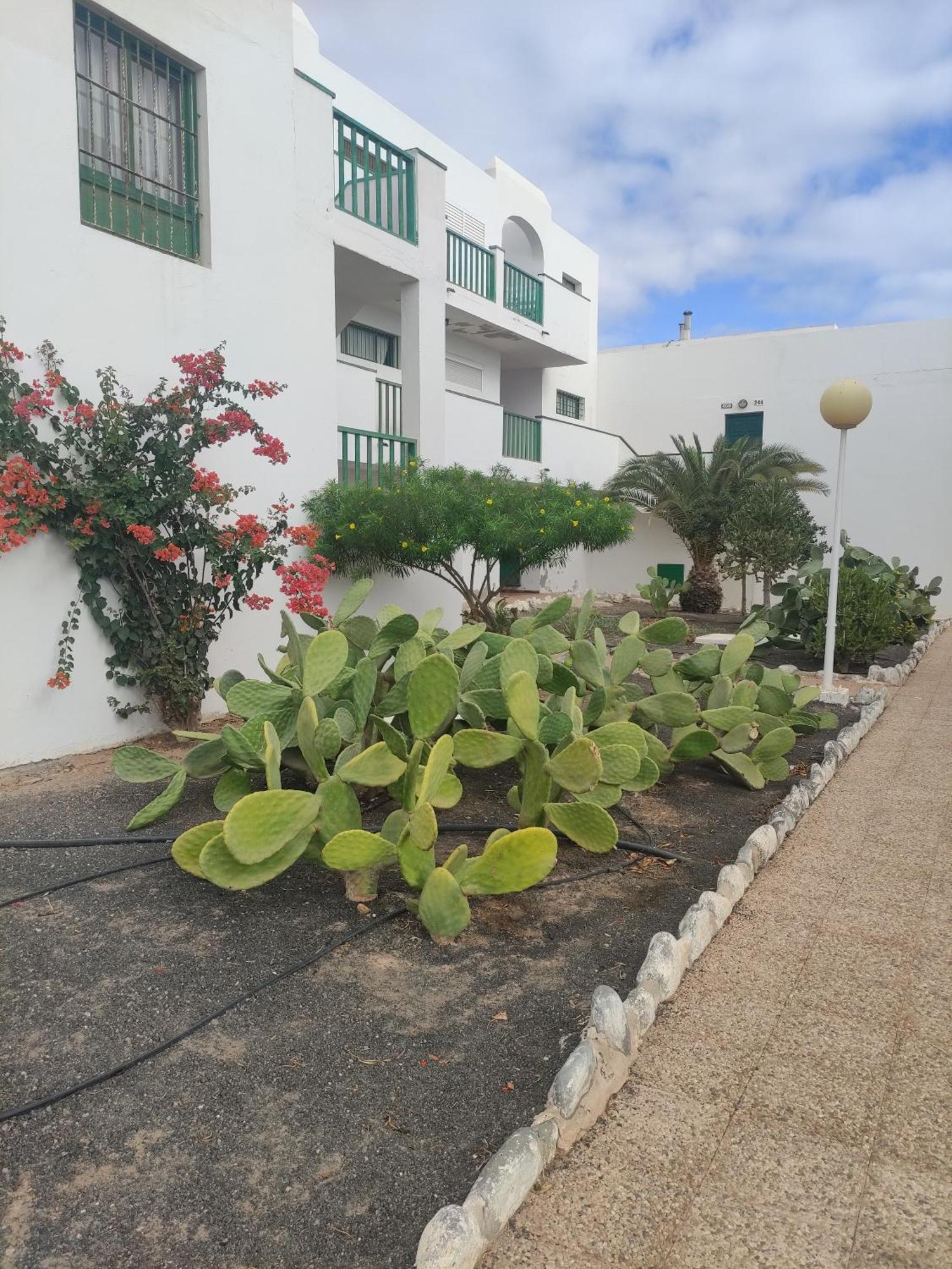 Casita Perla Blanca Leilighet Costa De Antigua Eksteriør bilde