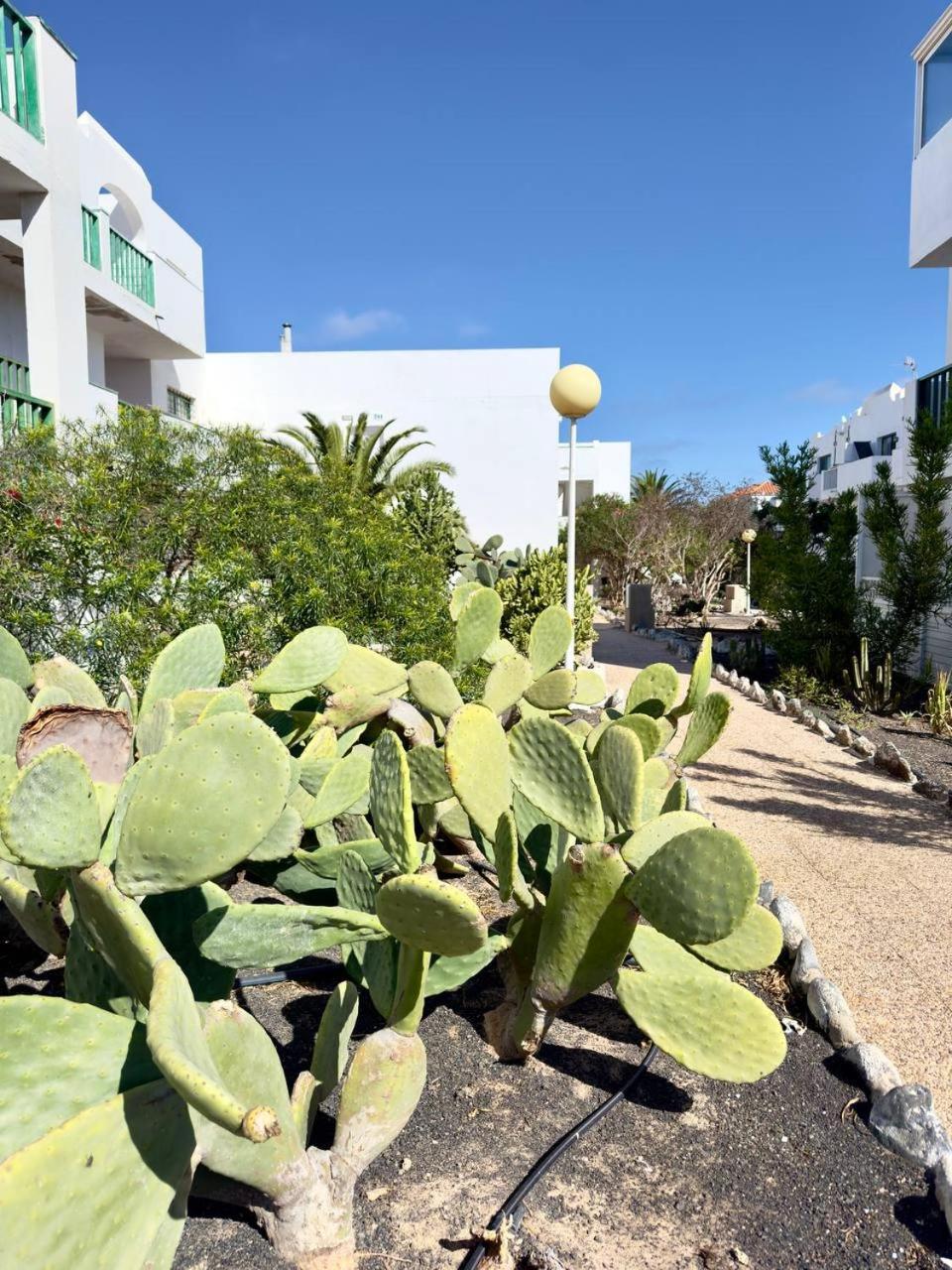 Casita Perla Blanca Leilighet Costa De Antigua Eksteriør bilde